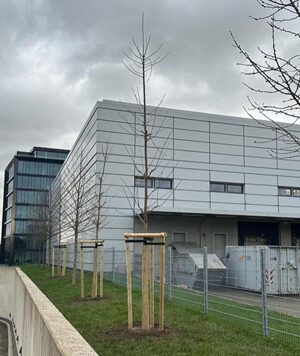 impressionen_03